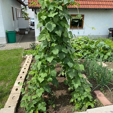 Ferienwohnung Eibenweg Gebsattel Екстер'єр фото