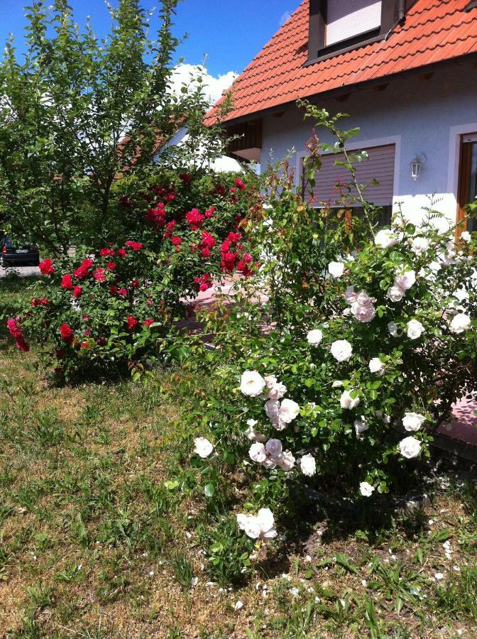 Ferienwohnung Eibenweg Gebsattel Екстер'єр фото
